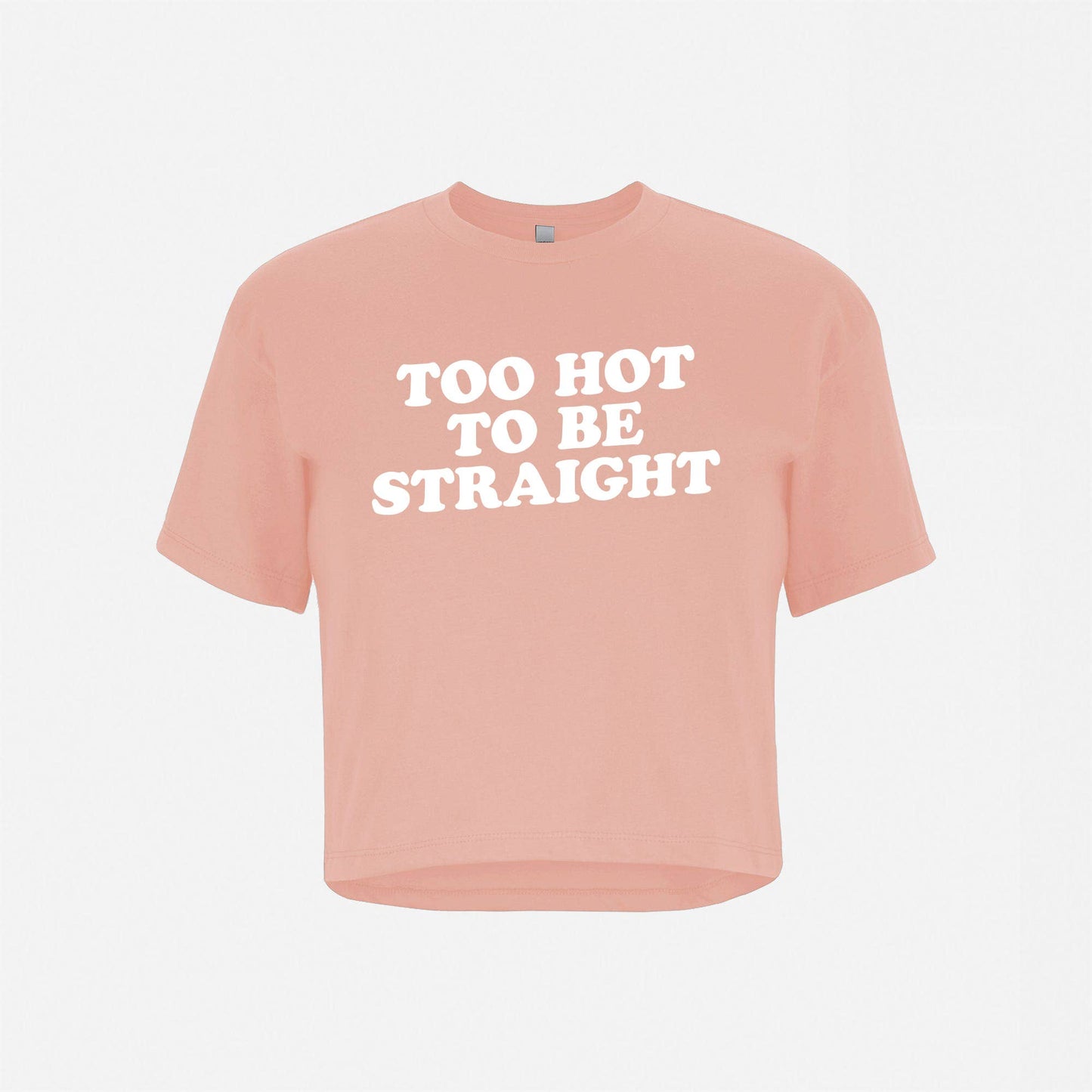 The Little Gay Shop -Too Hot To Be Straight Crop Top Tee