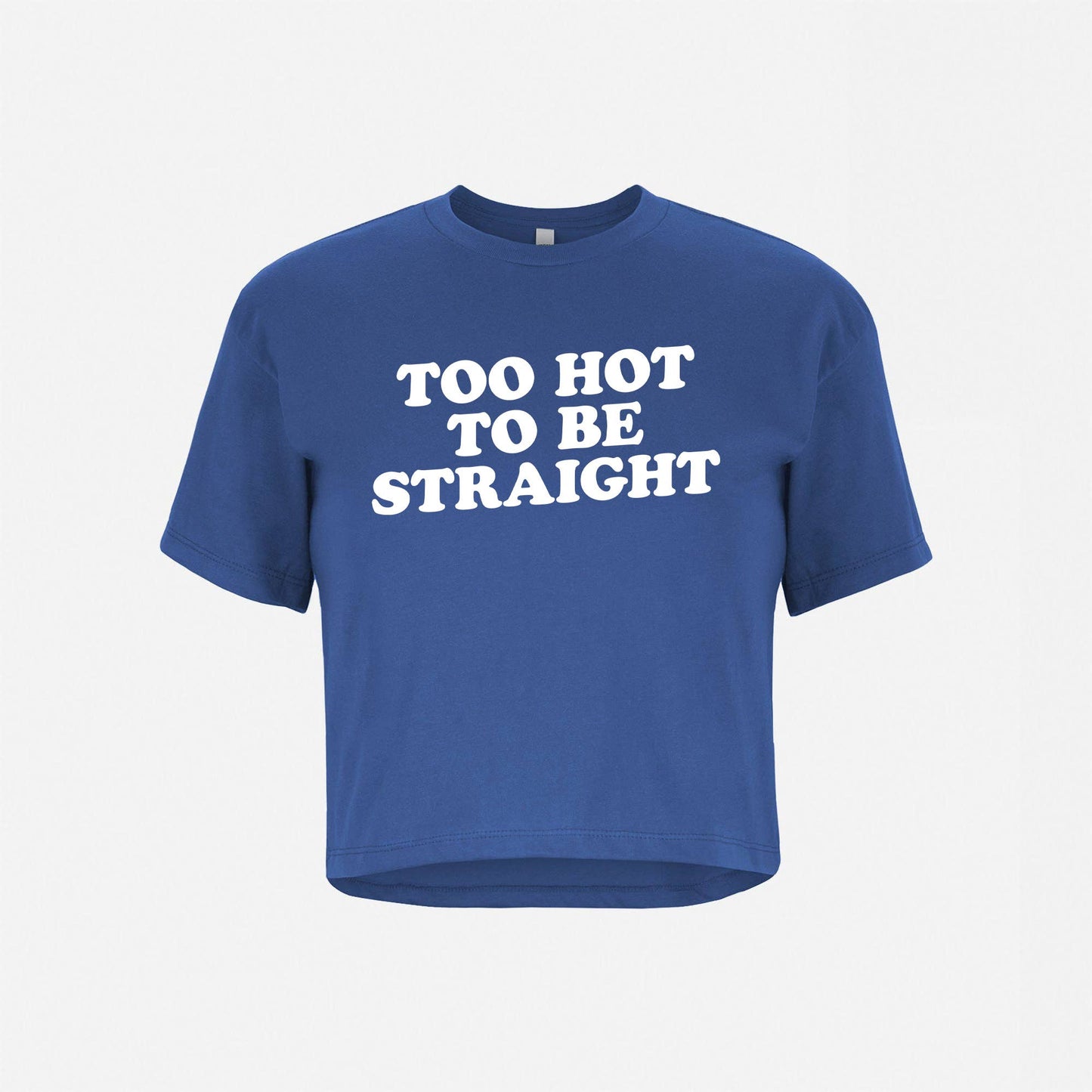 The Little Gay Shop -Too Hot To Be Straight Crop Top Tee